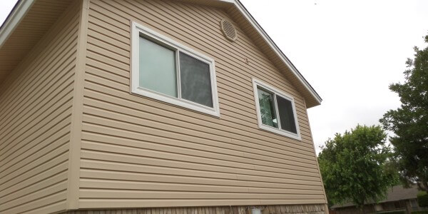 Vinyl Siding and Windows