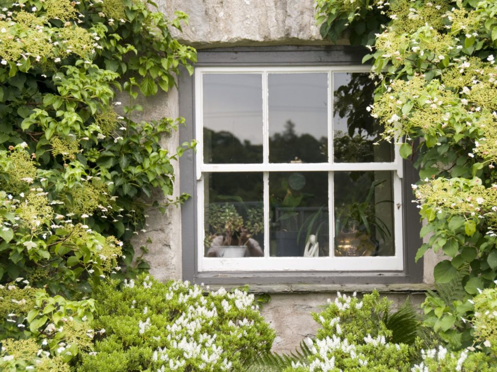 How to clean your double hung windows easy steps